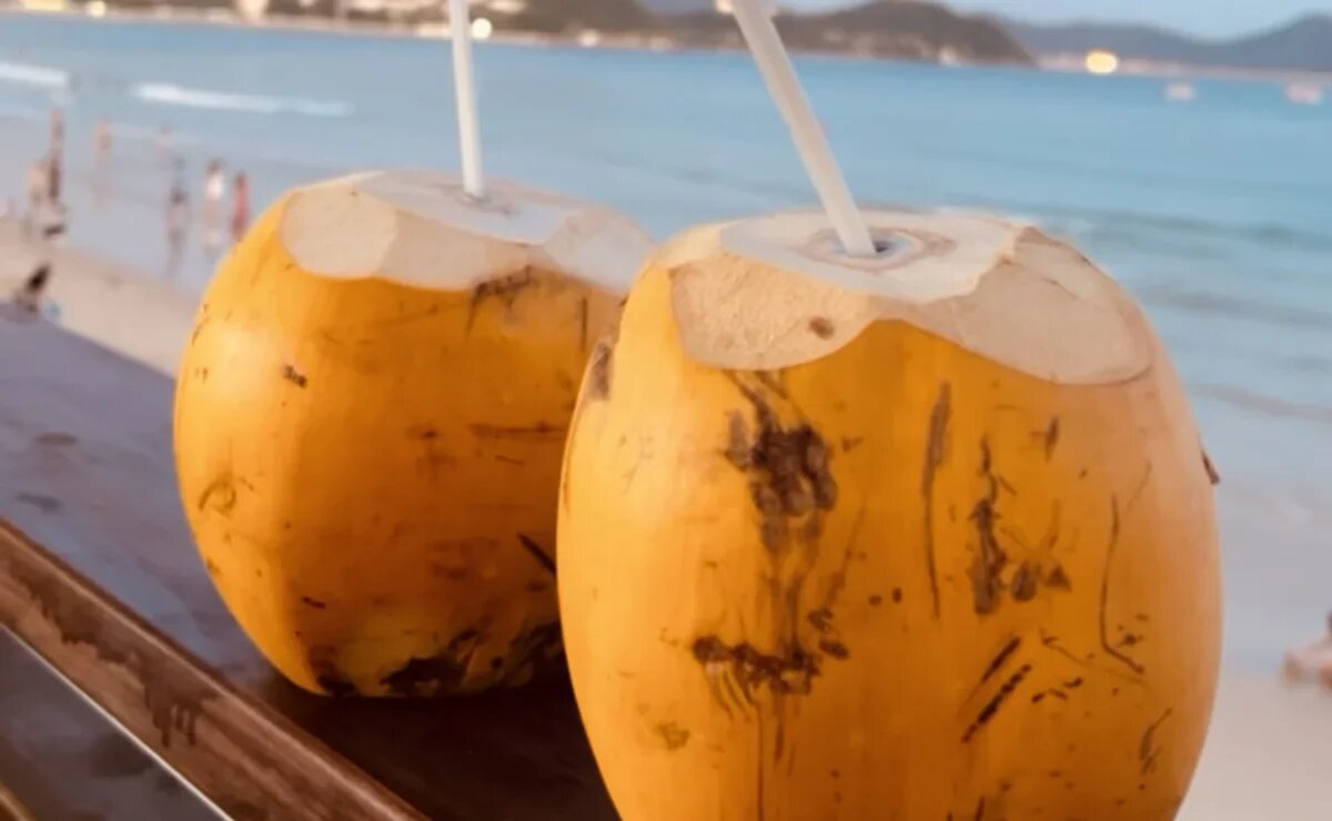    Какие фрукты есть летом на острове Хайнань