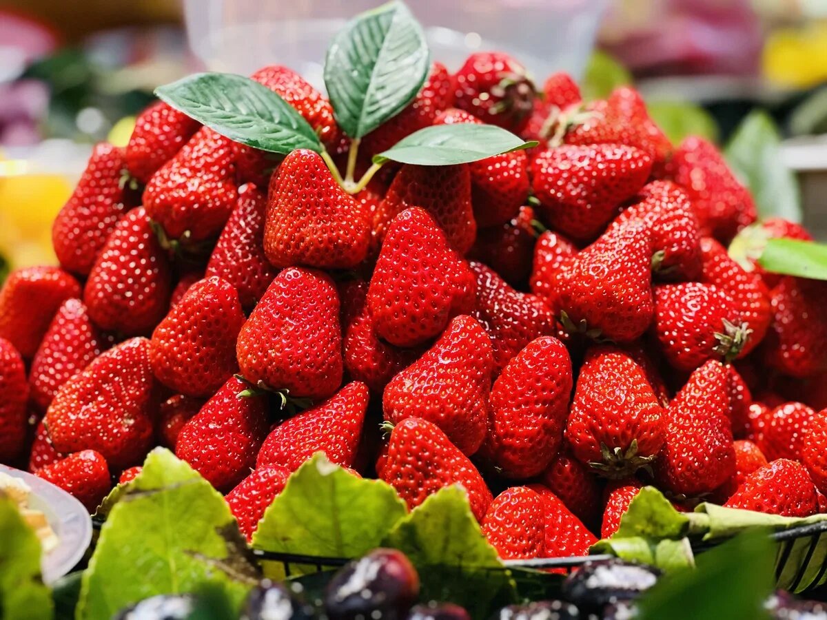    На острове Хайнань растут самые разные фрукты и ягоды. От клубники до ...Фото: АТОР