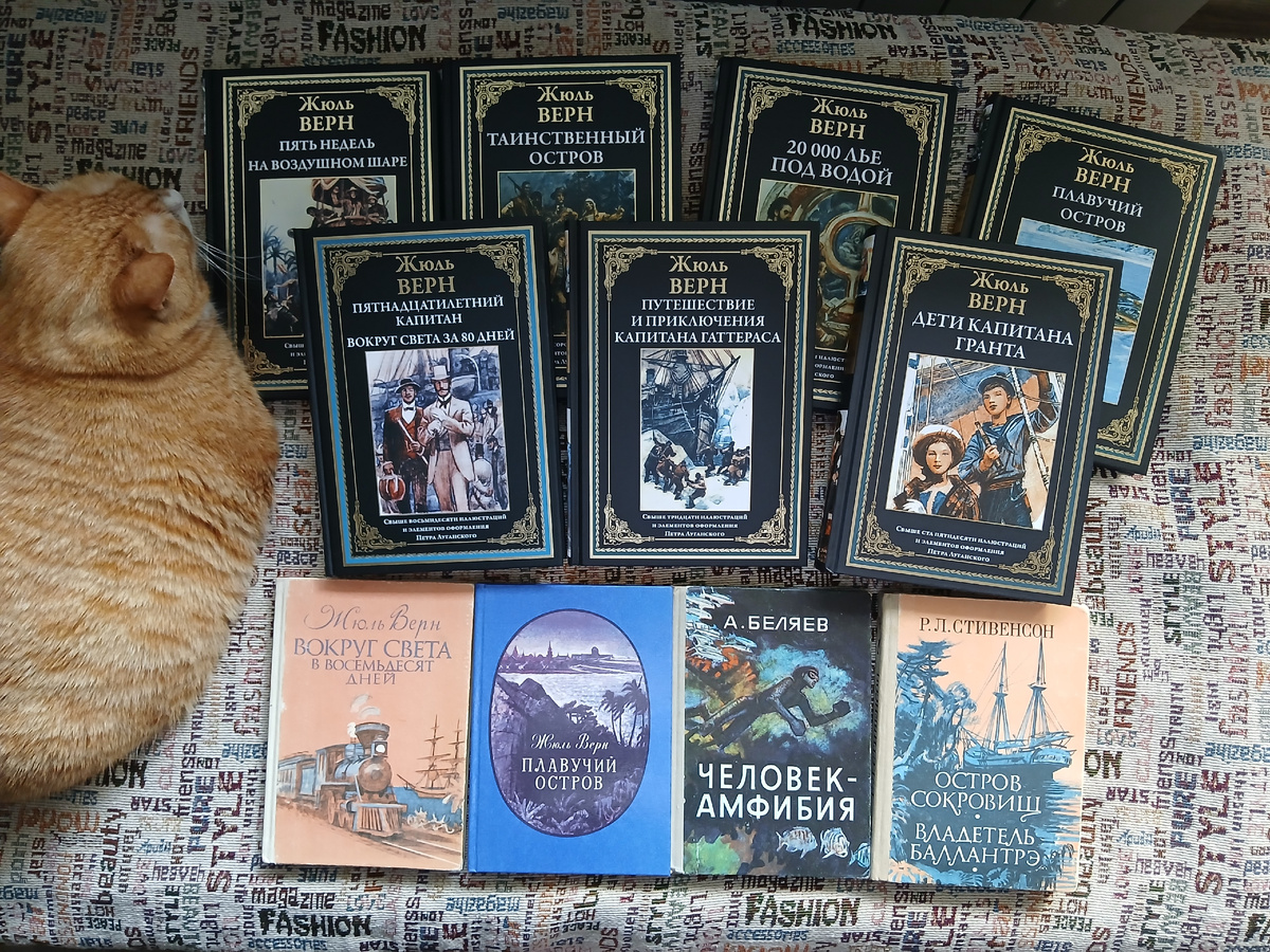 Алиса думает, что книги положили специально для нее 😸 Книги из личной библиотеки. Фото автора статьи. 