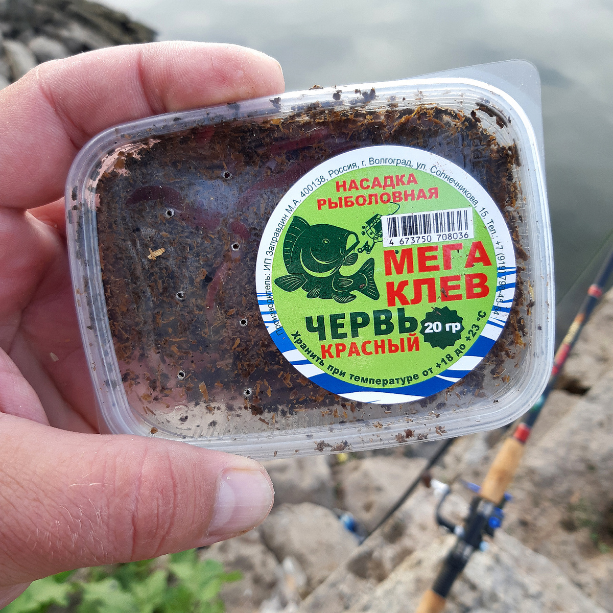 Главное, по забывчивости, не запихнуть таких червей в холодильник – околеют. 