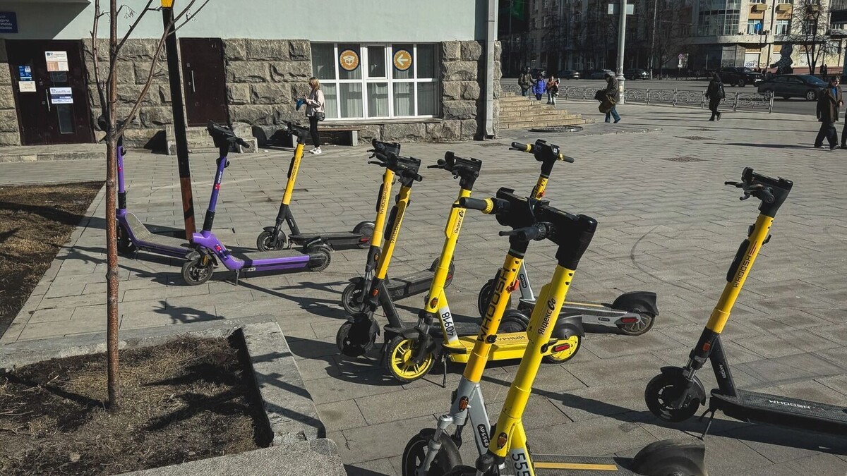     Источник: 1MI