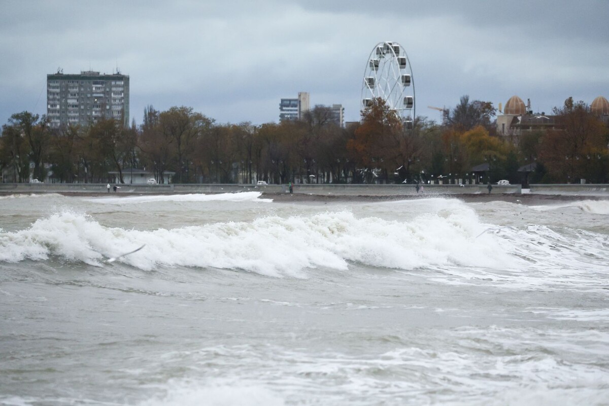     / Источник: © Сергей Мальгавко/ТАСС