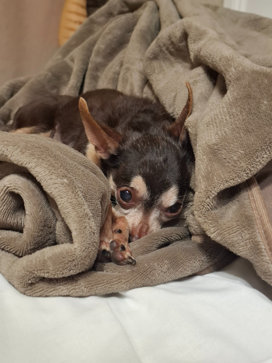 Грусти, что все закончилось 😔