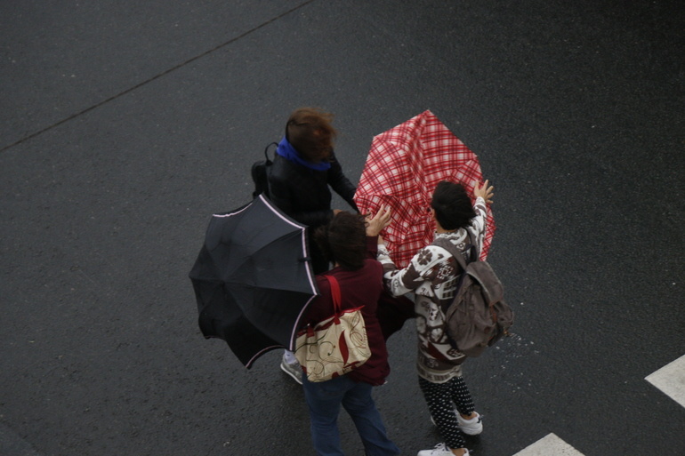    Фото: Baltphoto / Николай Овсянников