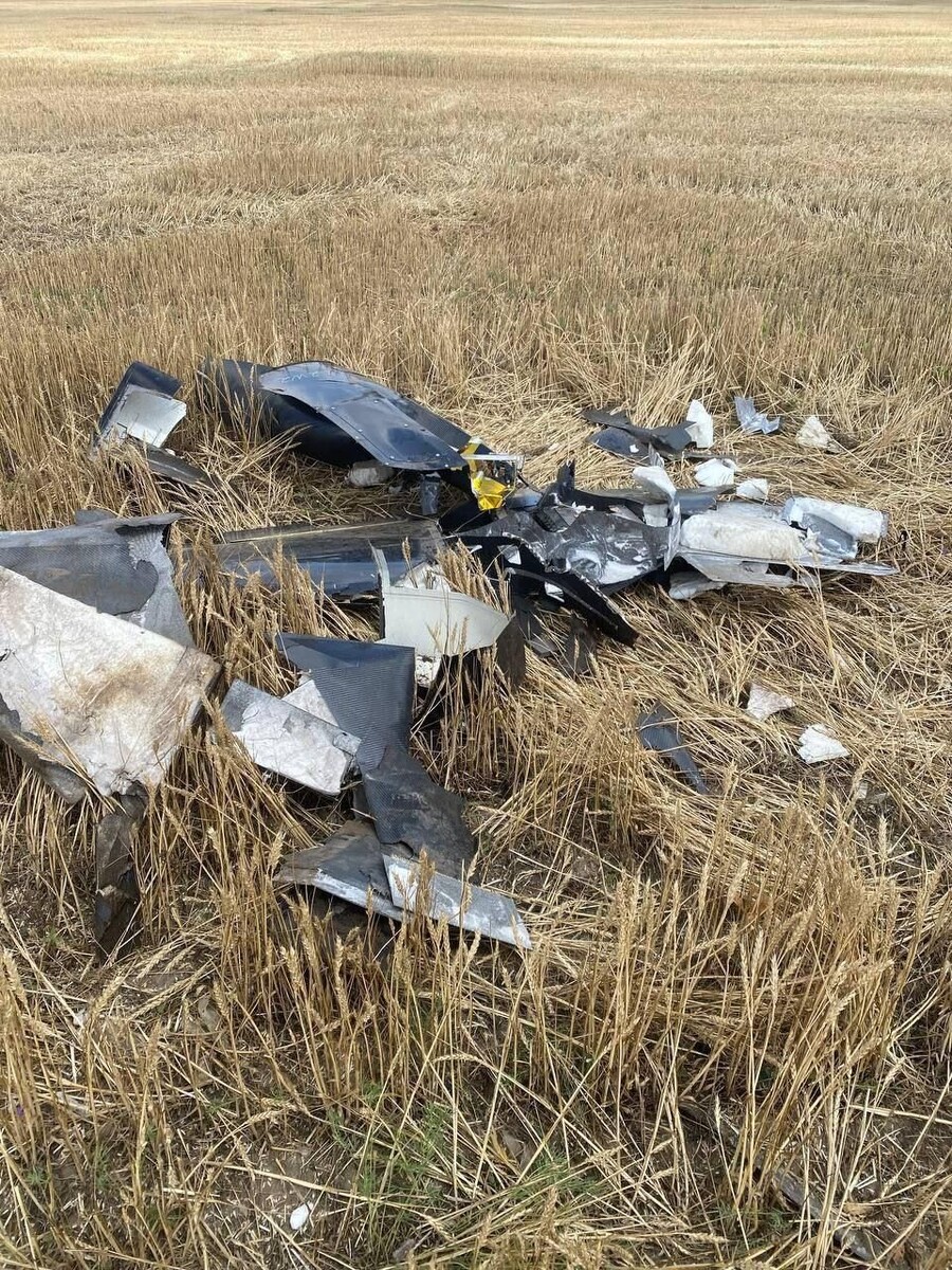     Губернатор Херсонской области Владимир Сальдо / Telegram