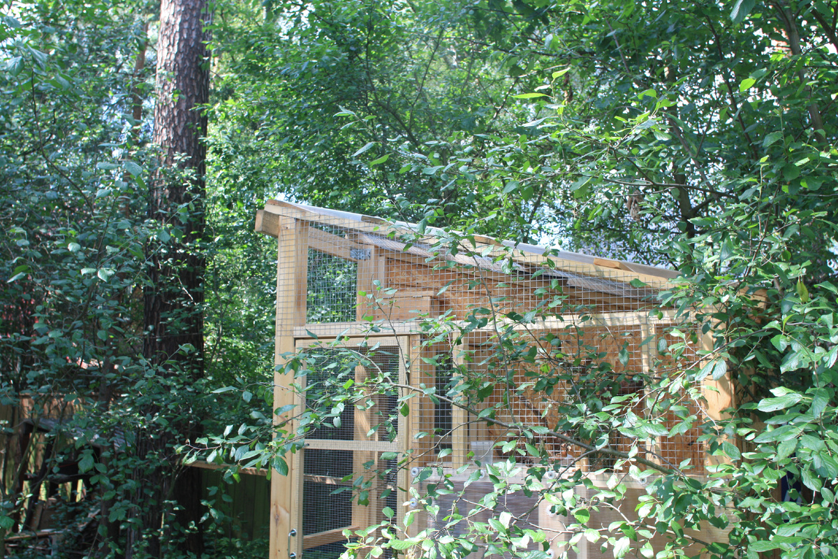 Дичальник снаружи