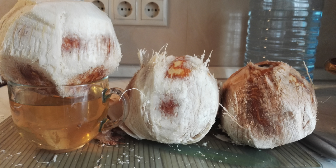 Кокосовая алхимия: как ферментация превращает молодой кокос в эликсир долголетия и красоты. №11