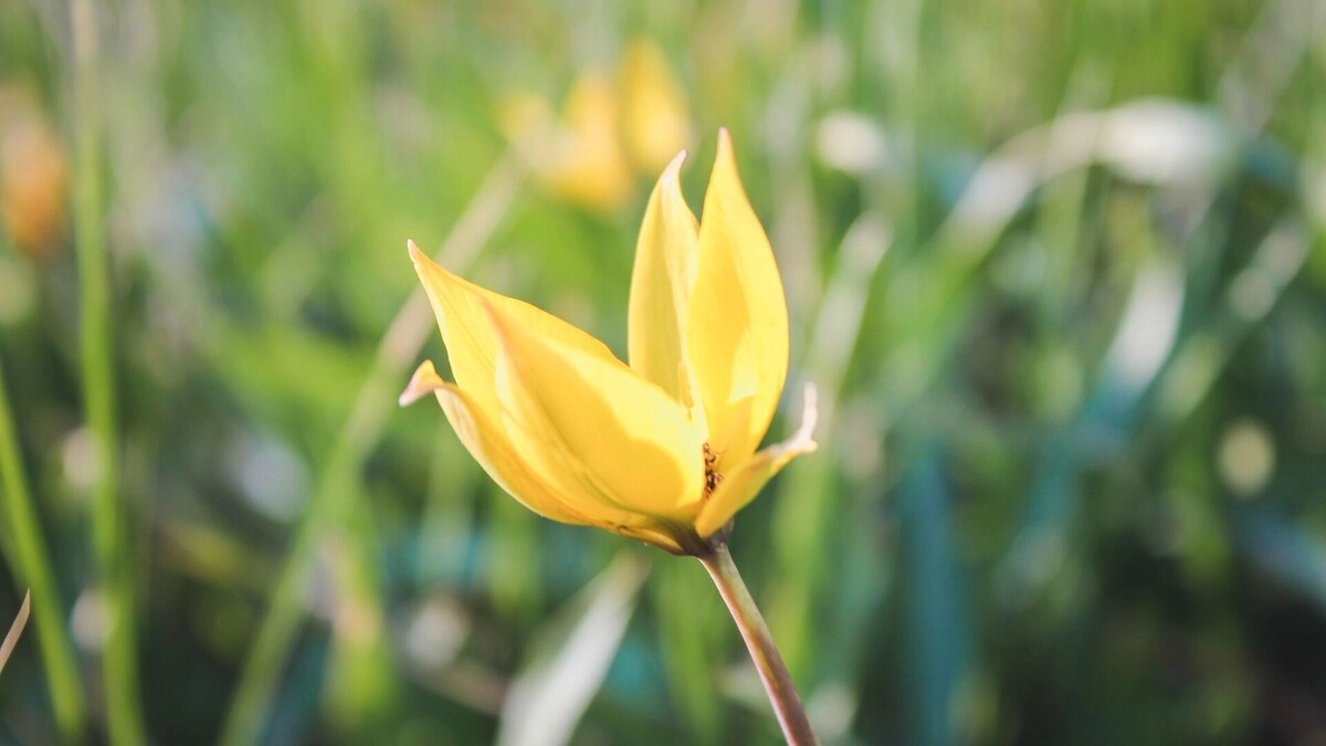     Источник: 1MI