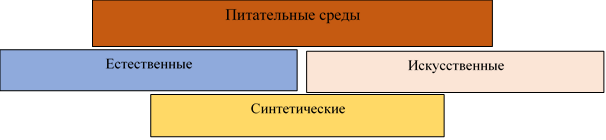 Питательные среды: естественные, искусственные и синтетические.
