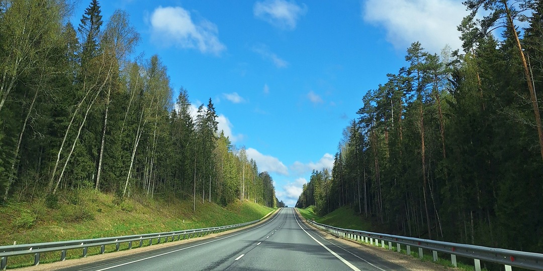 Крепости, аисты и довлатовские места: что посмотреть за 5 дней по дороге из Москвы в Псков?