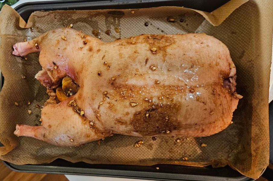 Наша многострадальная утка