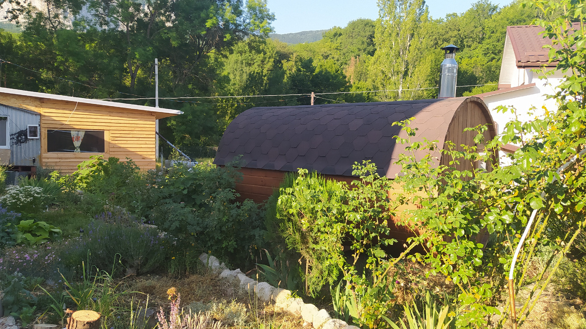 Это в хозяйском дворе.