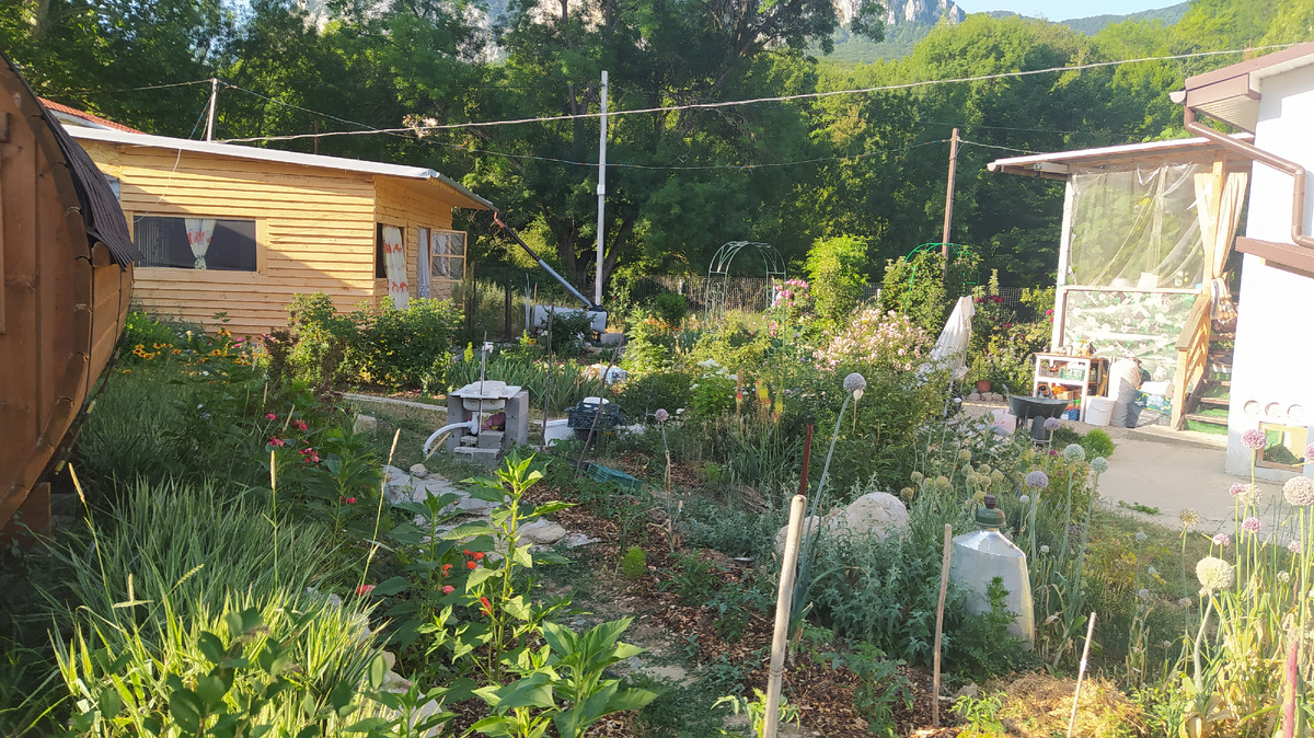 Хозяйка волонтёр...конкретно о ее работе не знаю.