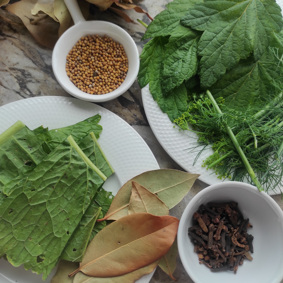 Зелень и специи для маринования огурцоа