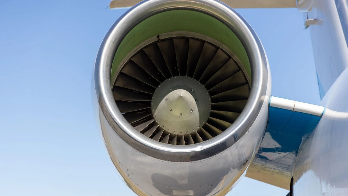    Фото: Федор Воронов/«Ямал-Медиа»