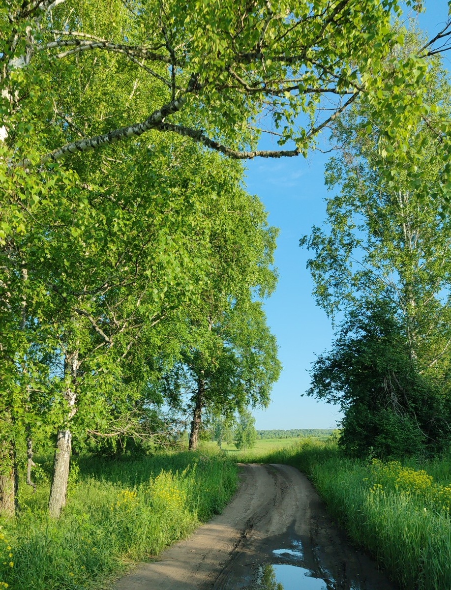 Уже сама дорога на глубокое - спошная живописьКа