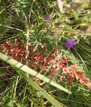 Фотография из личного архива автора