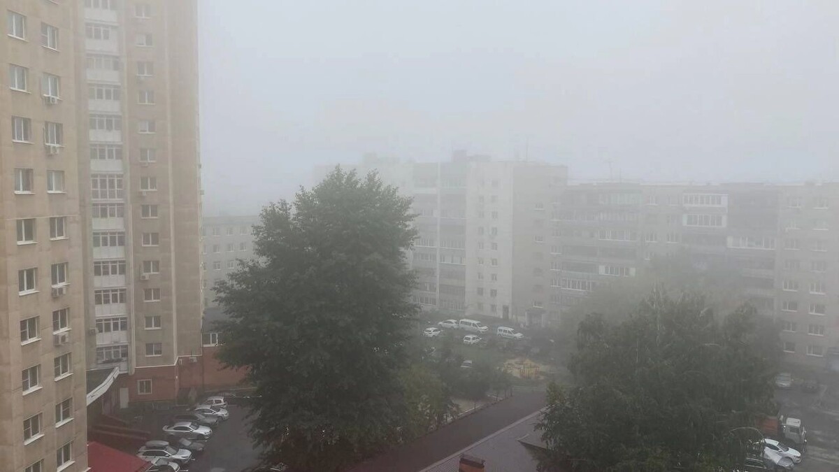     Источник: 1MI