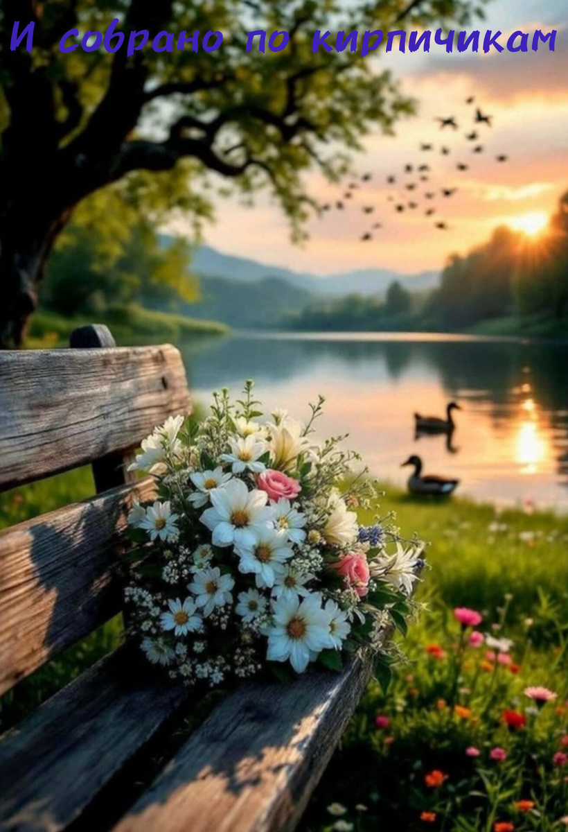 фото из общедоступных источников 