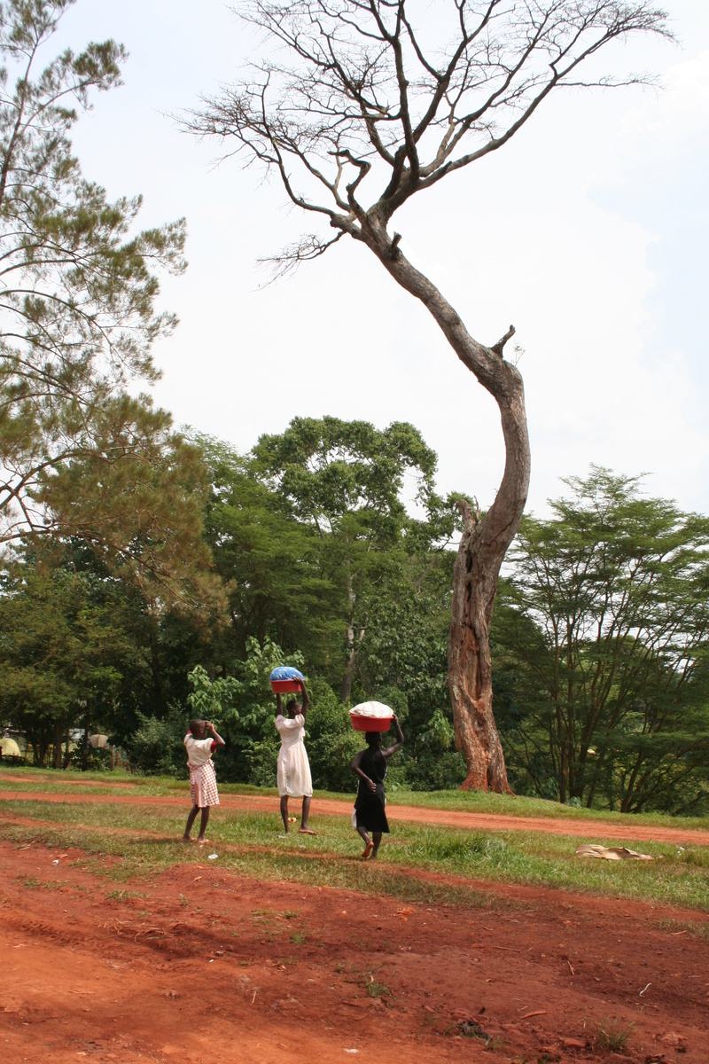 Окрестности кемпинга