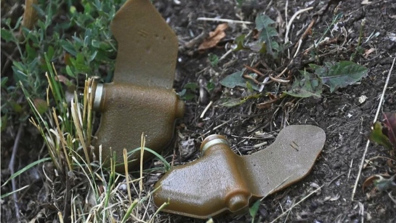    Украина выходит из Оттавской конвенции о запрете противопехотных мин