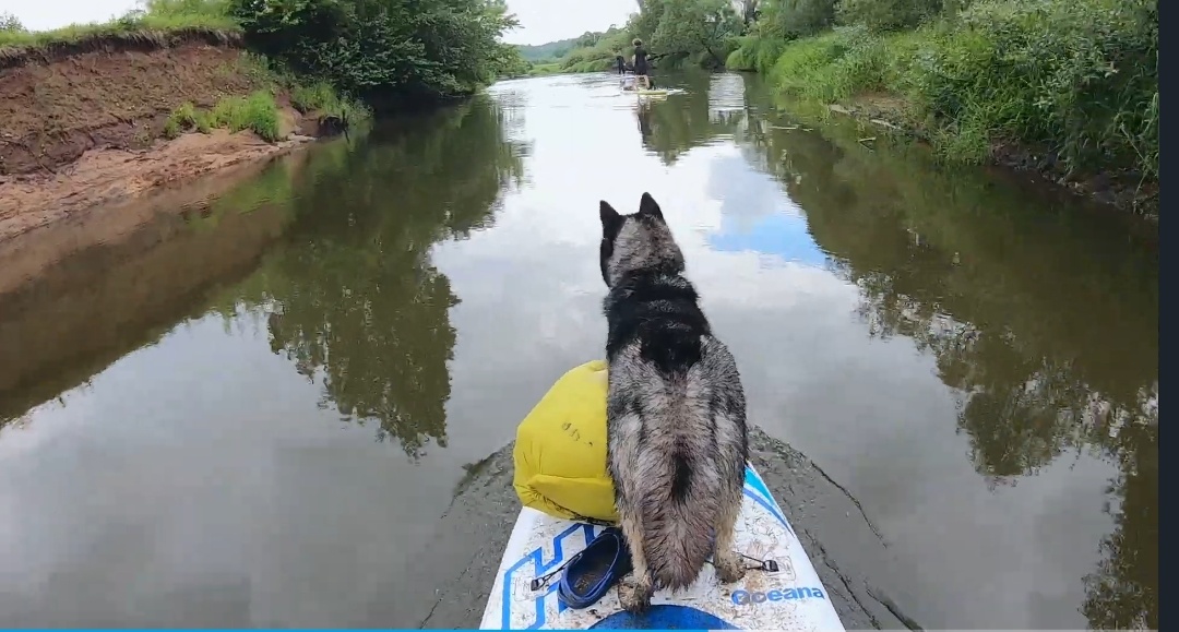 Рулевой на посту
