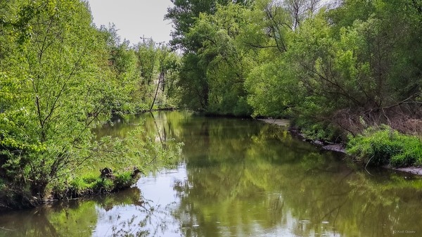 Это неплохо, если ты сам решаешь где тебе быть ... или, по крайней мере, думаешь что это был ты ... С Воскресением Вас!   

Вдоль по Сетуни в Москве ...   

  