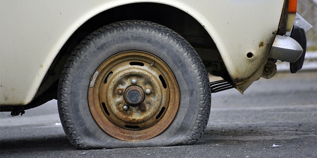 Фото: Mikhail Pletsky / Russian Look