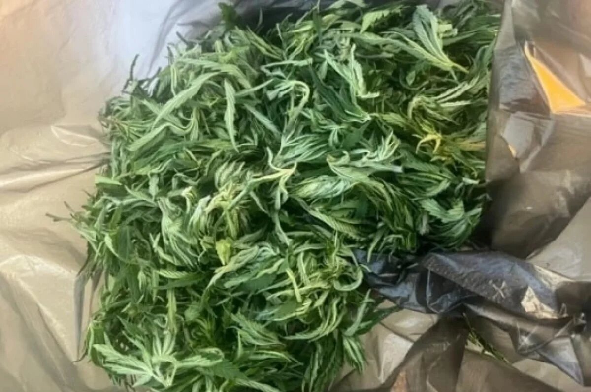    На Ставрополье полицейские изъяли у пьяного водителя пакет с коноплёй