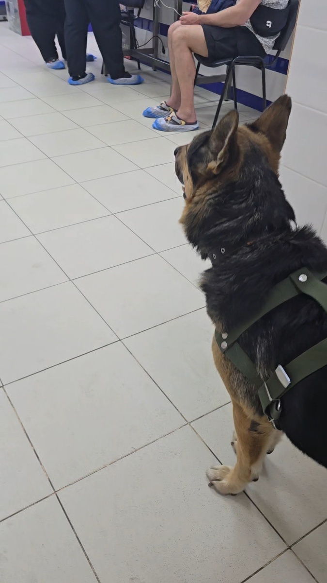 Бакс в клинике 