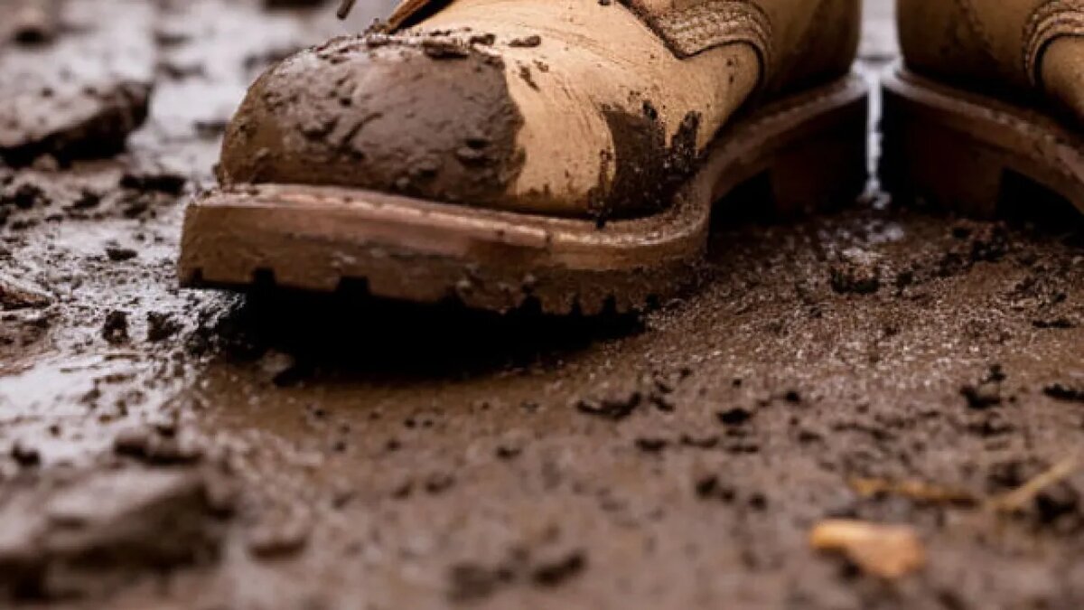    Сгенерировано ИИ