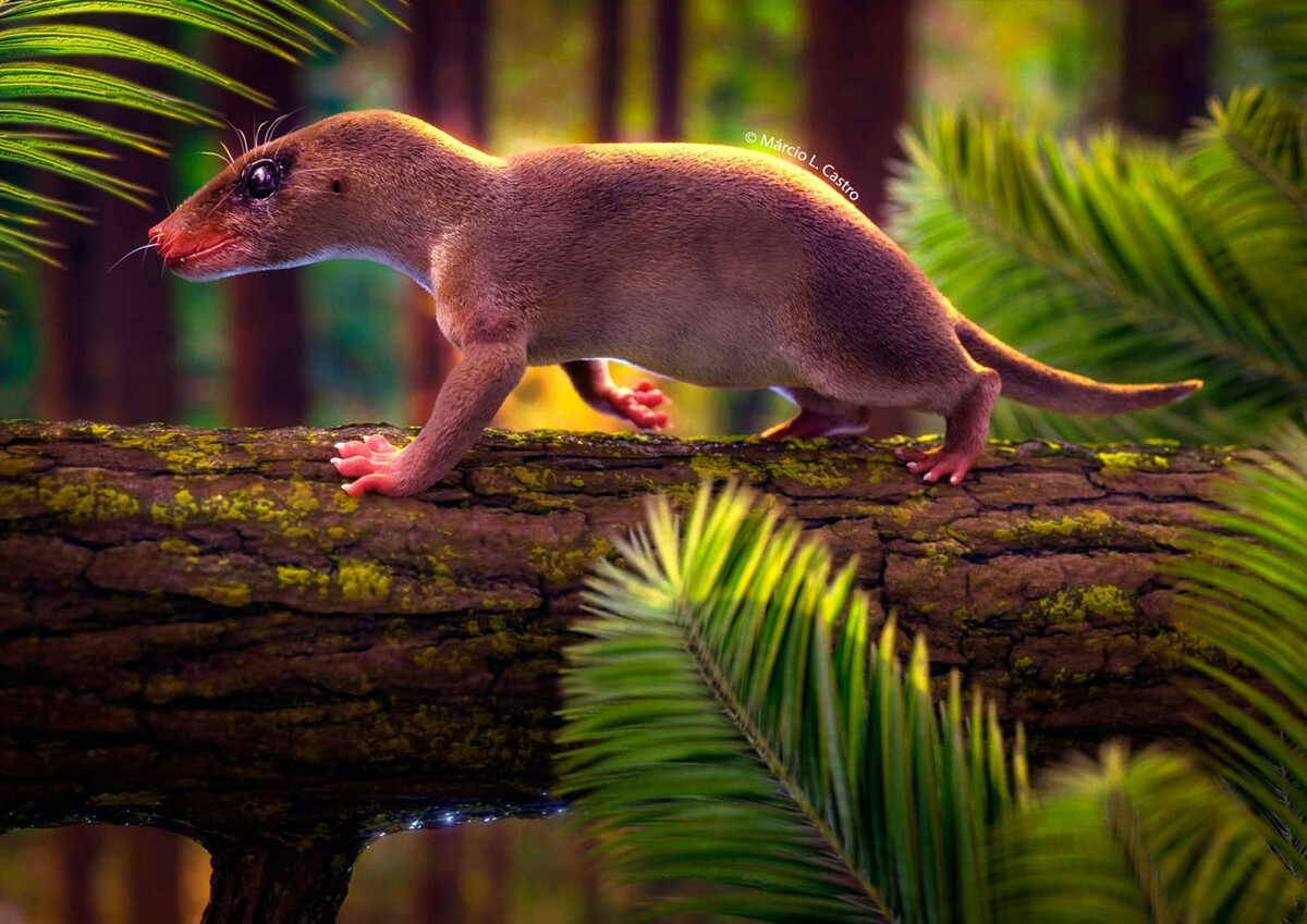 Шикарный арт с агудотерием.