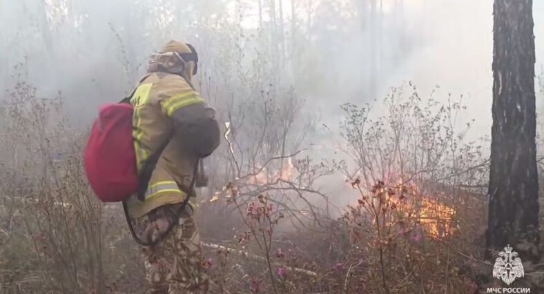    Фото: МЧС России