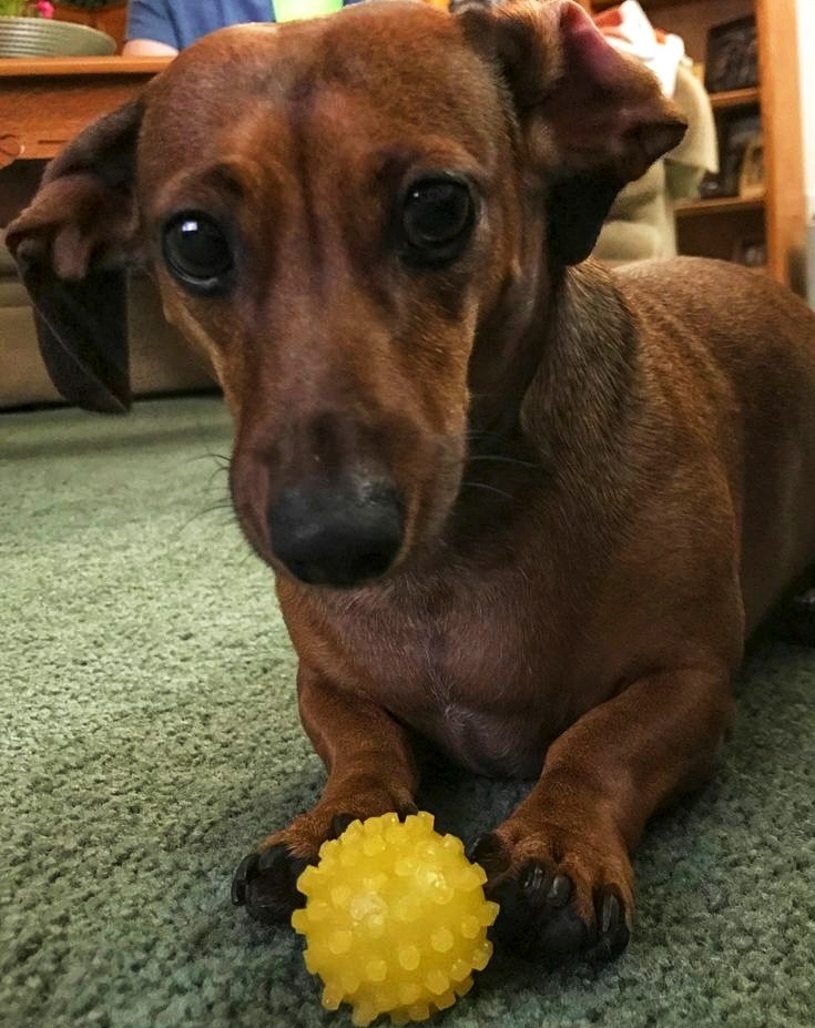 Этот малыш всегда будет особенно дорог моему сердцу