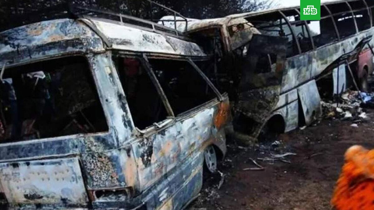    Фото: соцсети