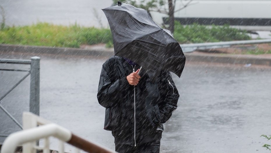    Житель Петербурга пытается спрятаться от летнего ливня под чёрным зонтом. Автор фото: Сергей Ермохин / "Деловой Петербург"