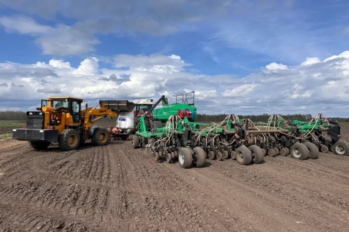    Министр Шинделов оценил риск подорожания хлебных изделий в Новосибирске