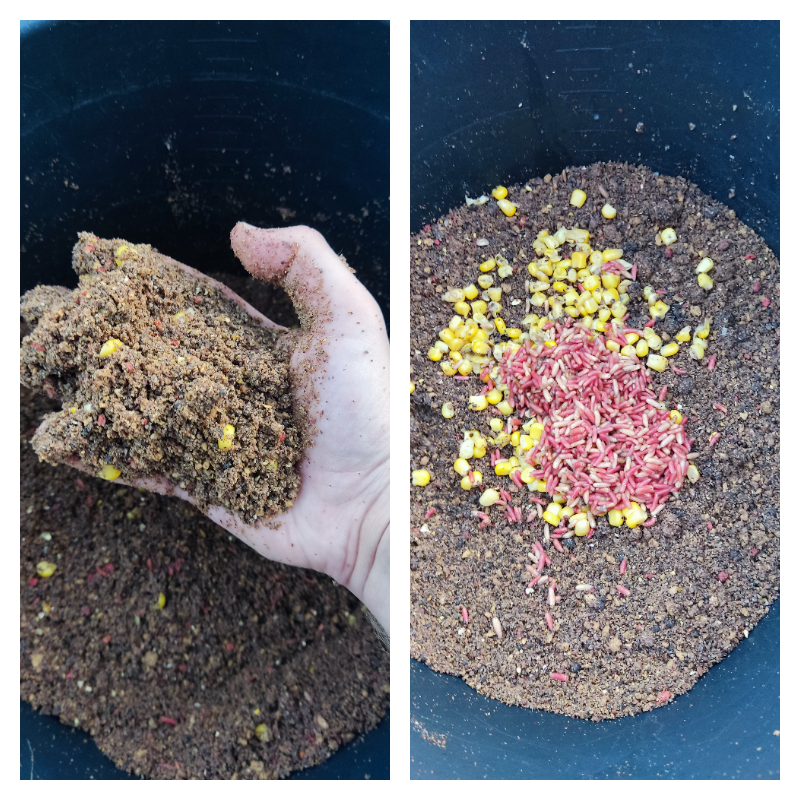 По правде говоря, мне нравится кормить рыбу.