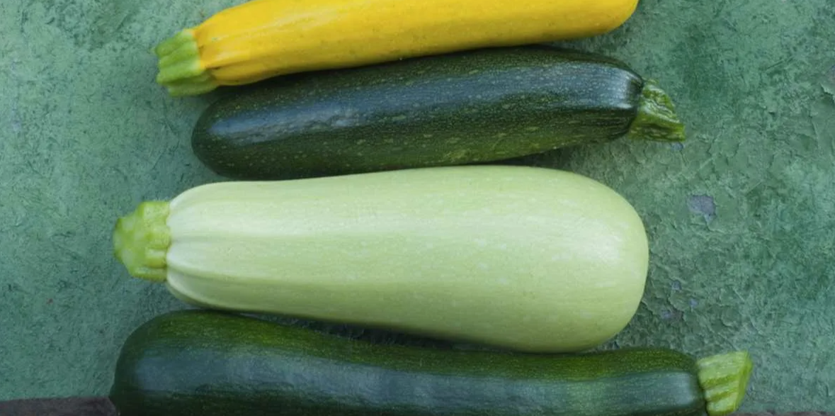 Ботаническое происхождение: один род, но разные сорта