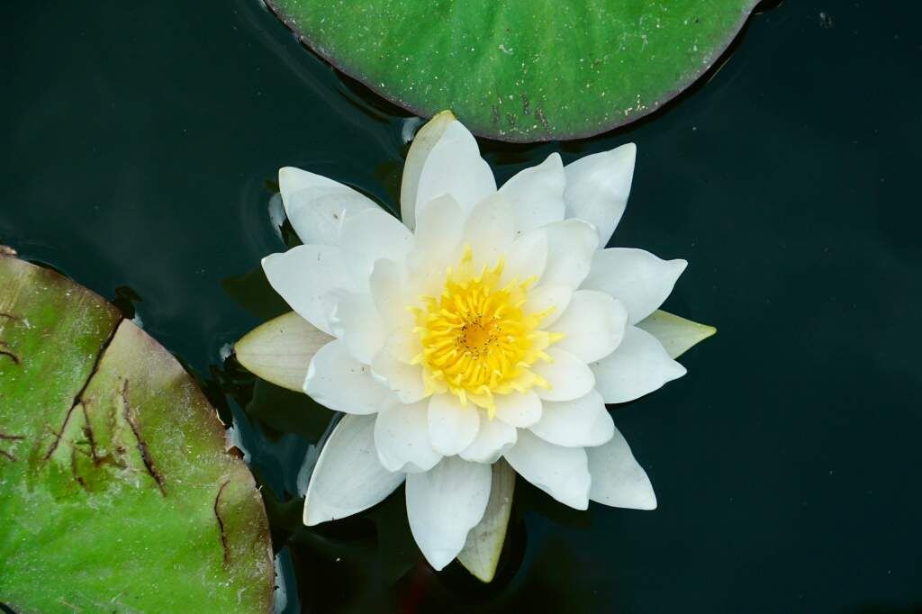    Фото: Курская АЭС