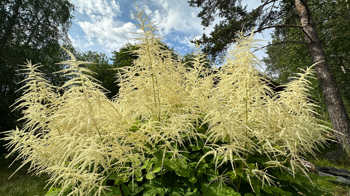Со всех ракурсов она прекрасна 