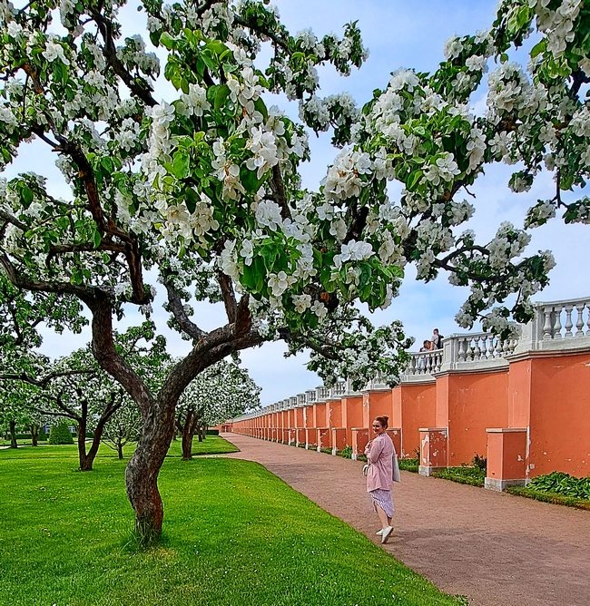 У подпорной стены земляного вала /фото из личного архива, 2023/