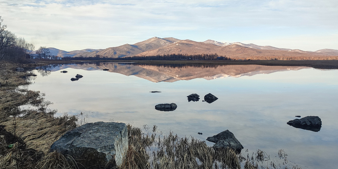 Тигры Сихотэ-Алиня: экспедиция в неизведанное. Часть 1