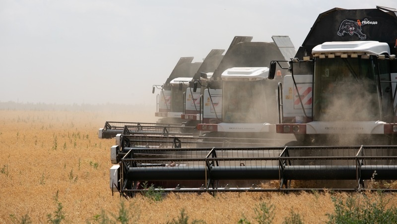      Фото: ИА «Победа26»