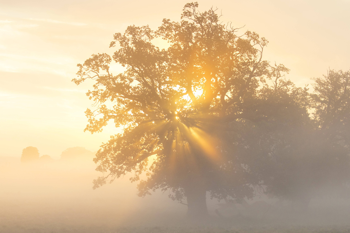 фото: IMAGO/ALIMDI.NET / Arterra / Sve/Global Look Press