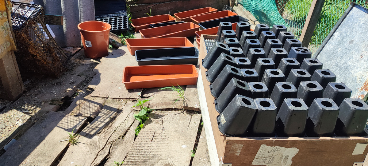 Даже перемыла практически все рассадные стаканы. Обычно у меня до них руки доходят только в сентябре 😁