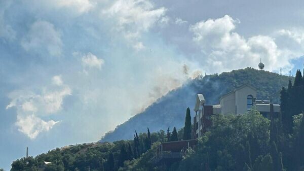    © РИА Новости Крым