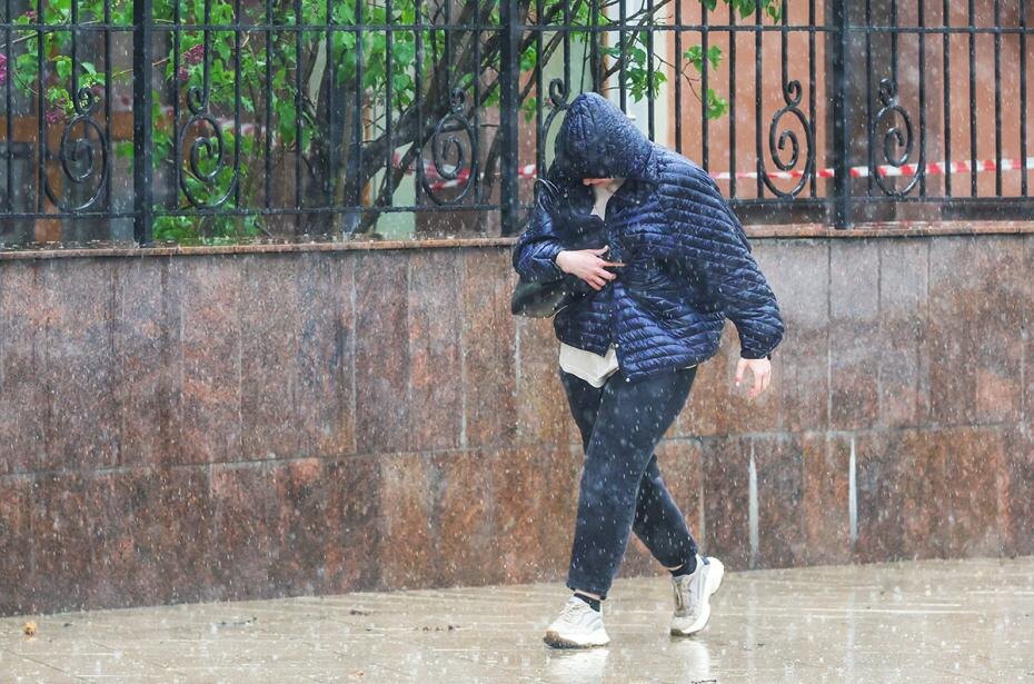    Наталья Шатохина/NEWS.ru