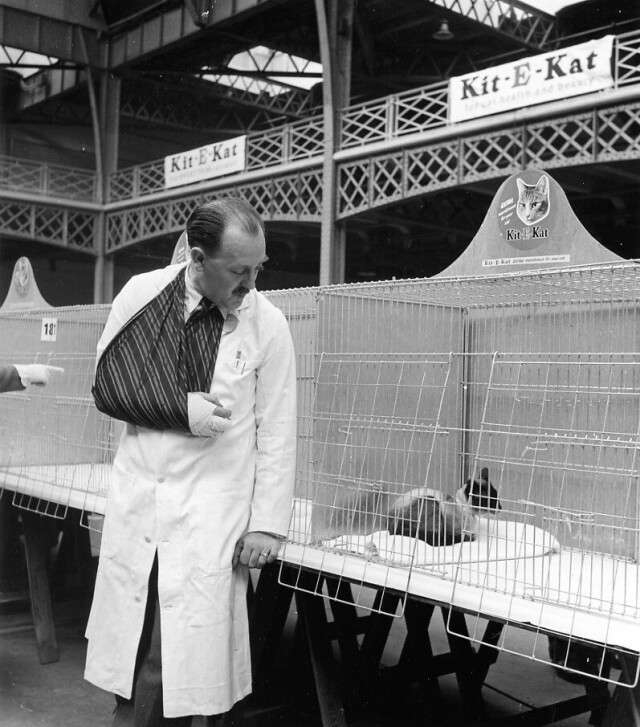 Фотограф Робер Дуано