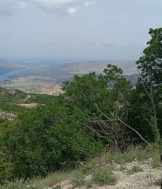 вот такие виды открываются на смтровой площадке